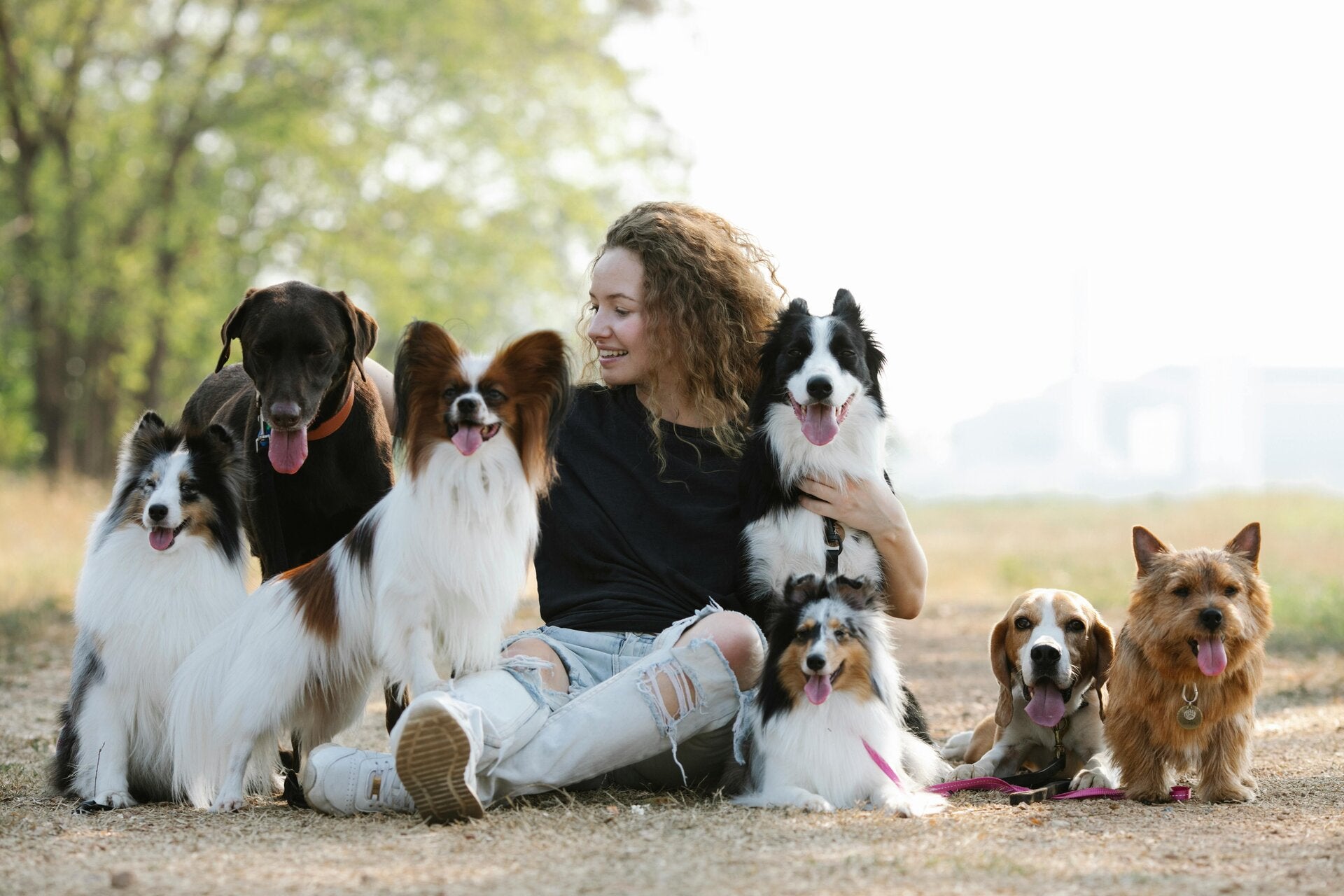 FeedYourDog difference